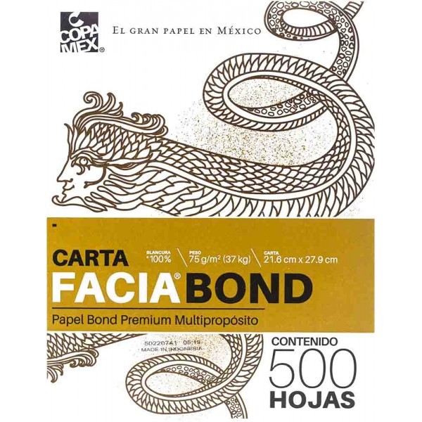 Papel Carta Facia Bond c/500