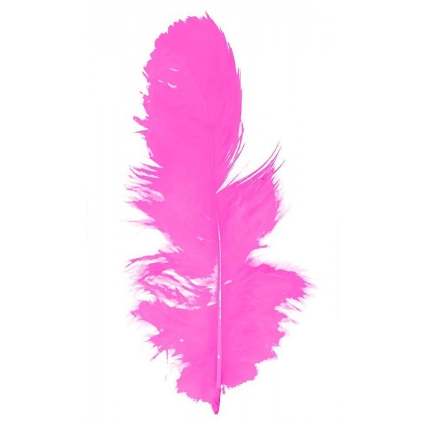 Plumas de Ave c/8 Grs Rosa Pastel