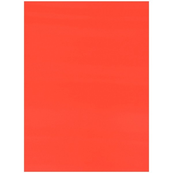 Cartulina Fluorescente 47.5 x 65.5 cm Rojo