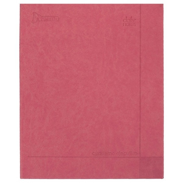 Cuaderno Ejecutivo Raya 100 Hojas Mediano Daily Notes Norma